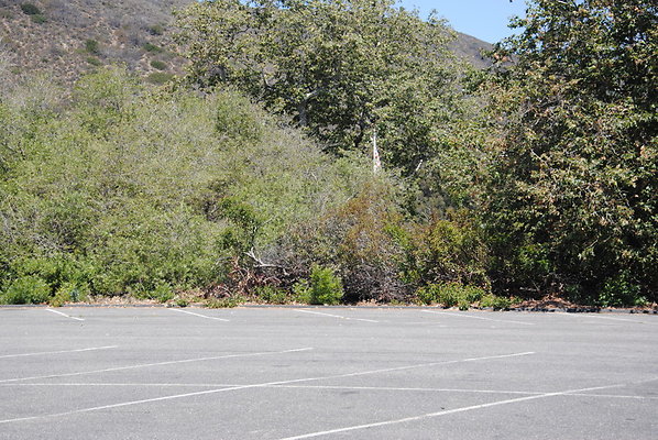 DSC 0027