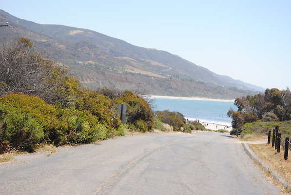DSC 0129