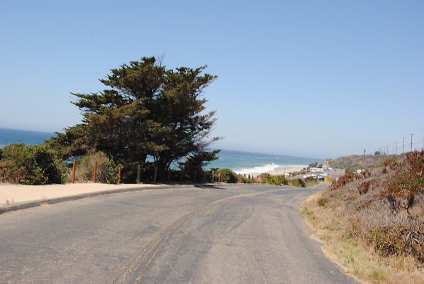 DSC 0054
