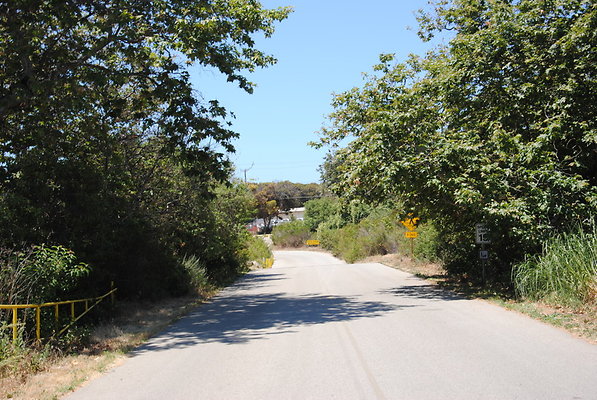 DSC 0041
