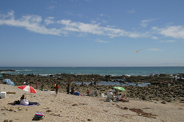 IMG 0197