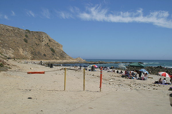 IMG 0194