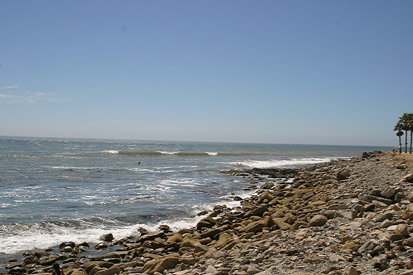 IMG 0156