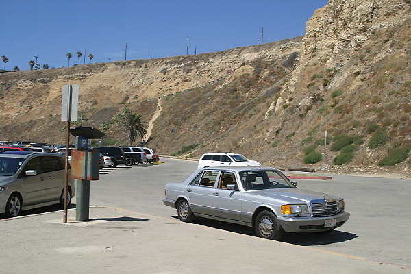 IMG 0204
