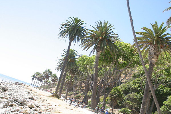 IMG 0159