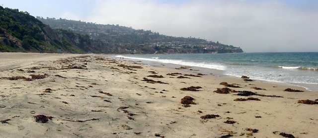 LA.County.Beach.Torrance02