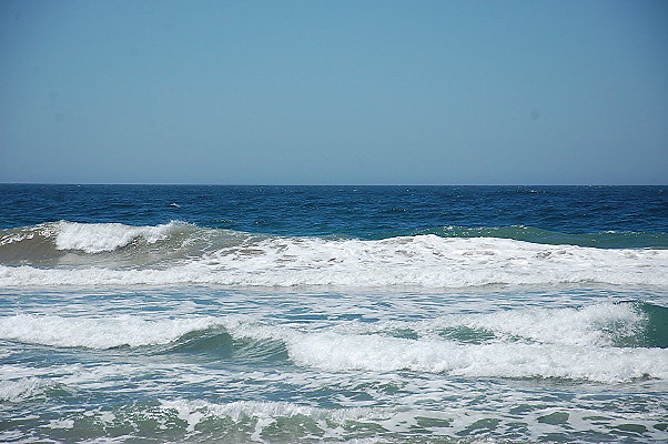 DSC 0094