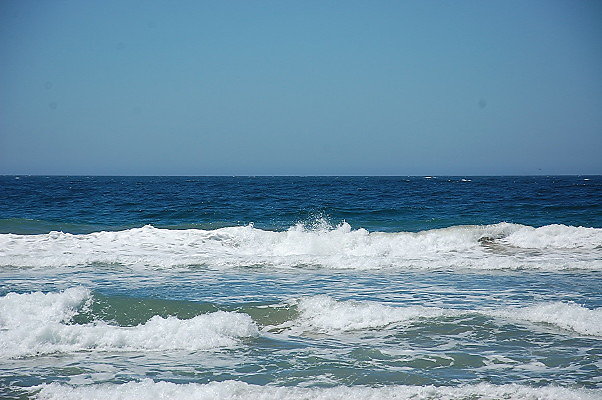 DSC 0095