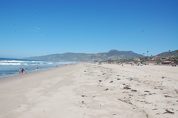 DSC 0066