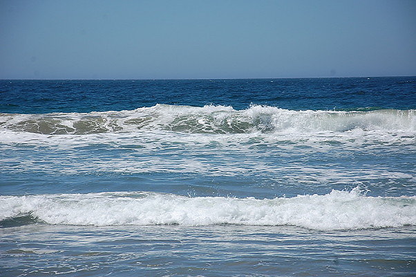 DSC 0100