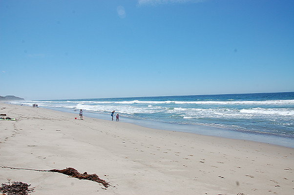 DSC 0063