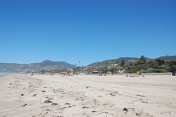 DSC 0060