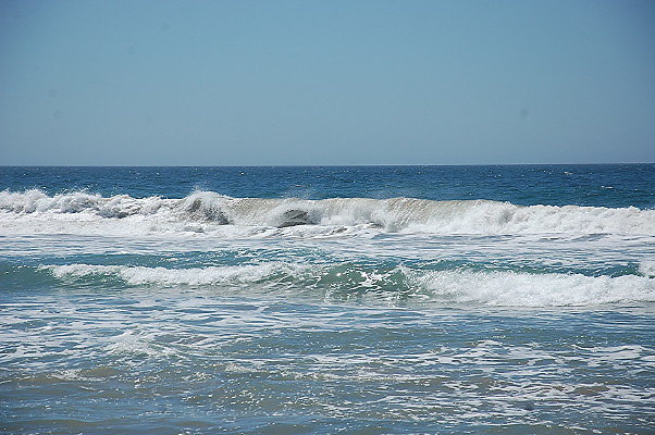 DSC 0091