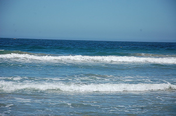DSC 0098