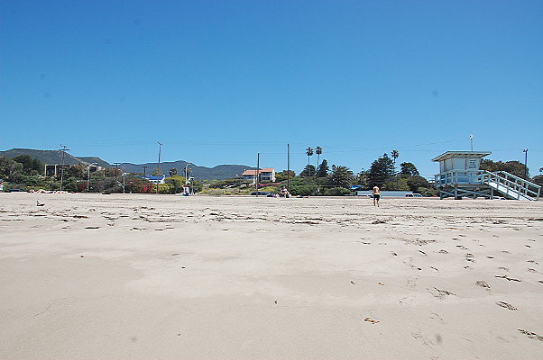 DSC 0079