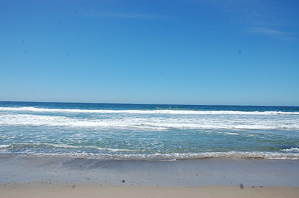 DSC 0073