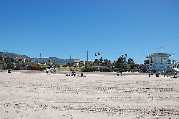 DSC 0061
