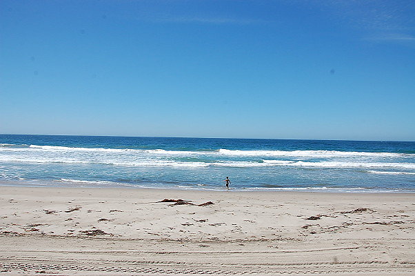 DSC 0058