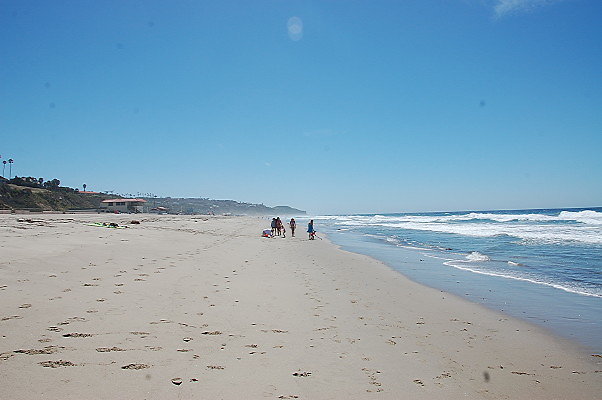DSC 0081