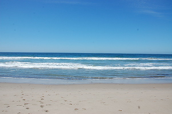 DSC 0064
