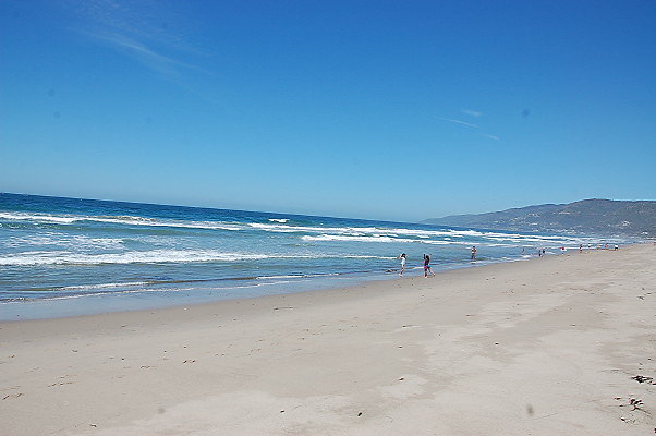 DSC 0065