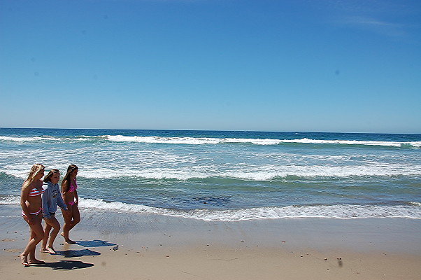 DSC 0099