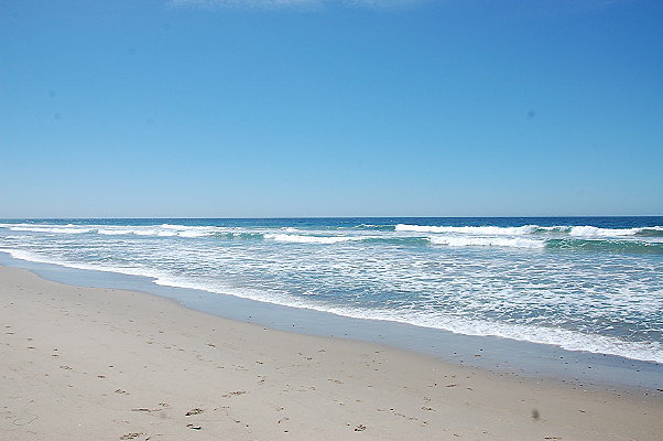DSC 0070