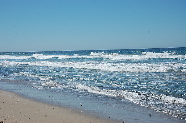 DSC 0089