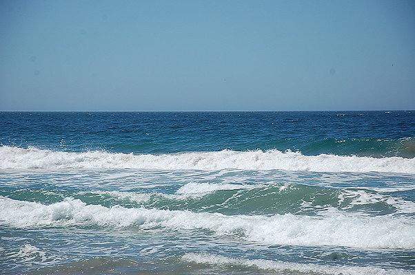 DSC 0093