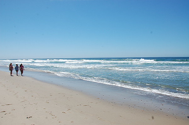 DSC 0090