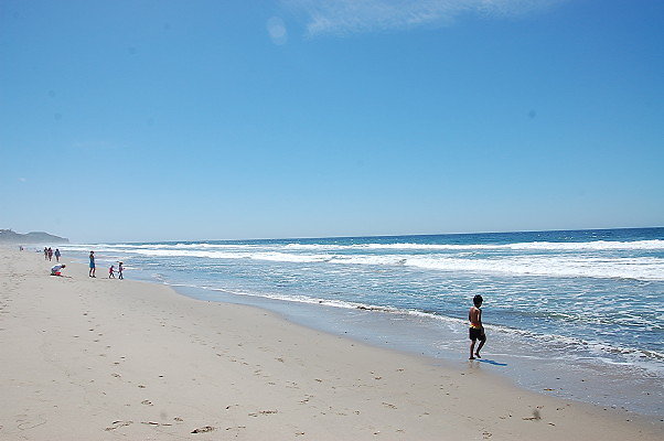 DSC 0072