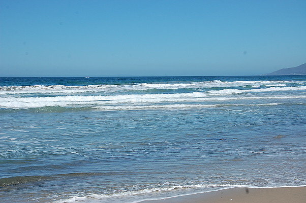 DSC 0088