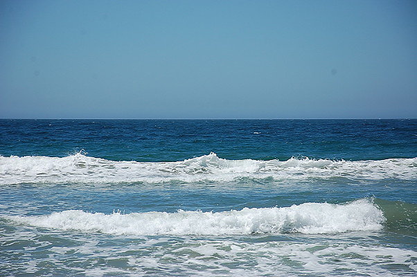 DSC 0096