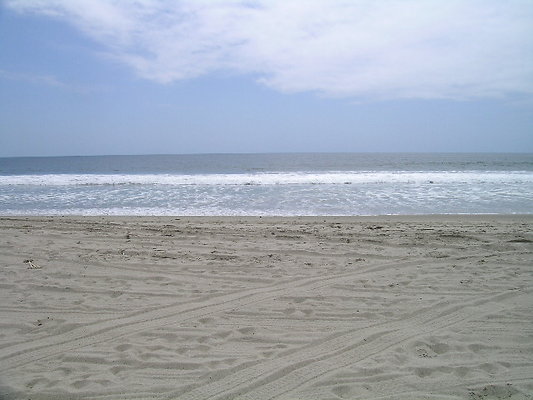 DSCN6688