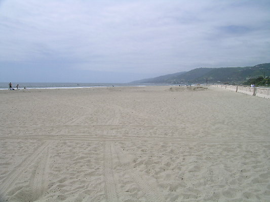 DSCN6684