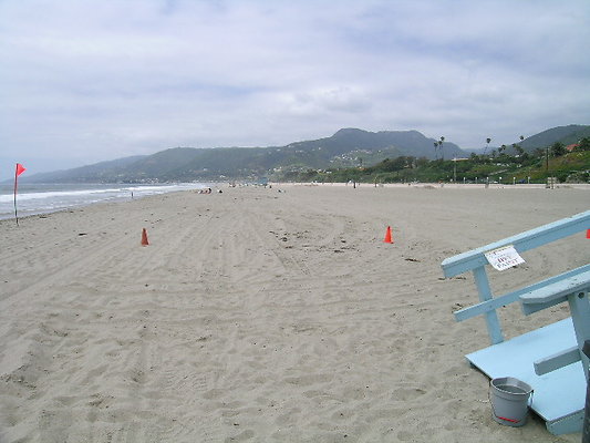 DSCN6662