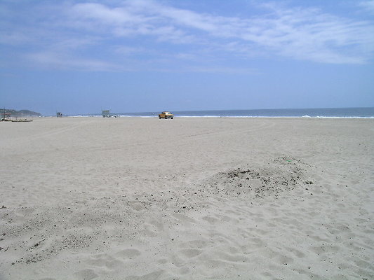 DSCN6652