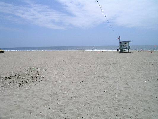 DSCN6653