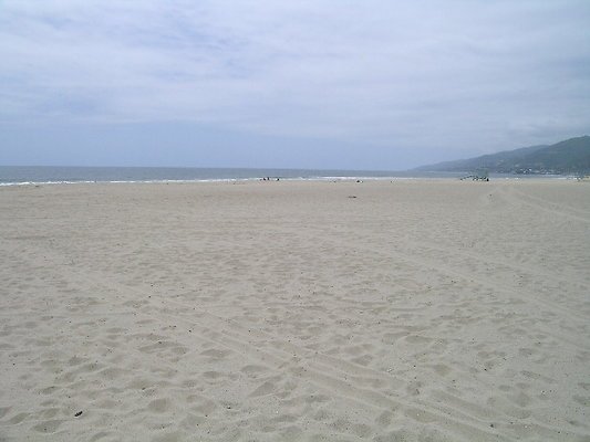 DSCN6655