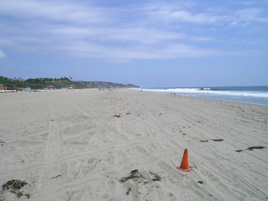 DSCN6657