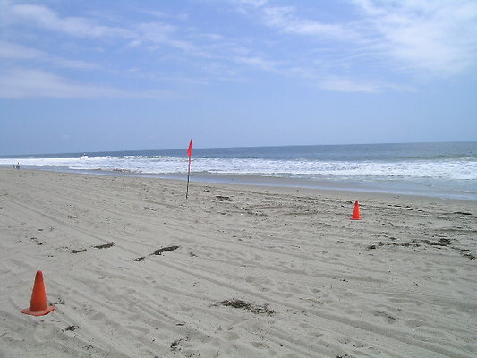 DSCN6658