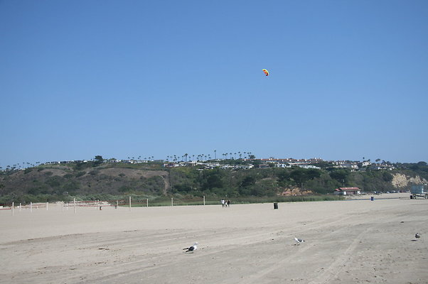 IMG 1699
