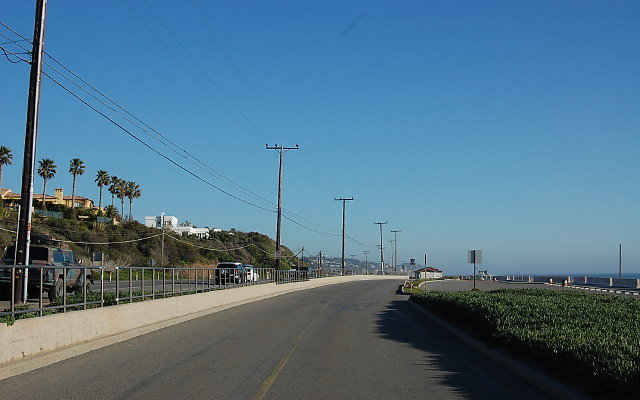 DSC 0557