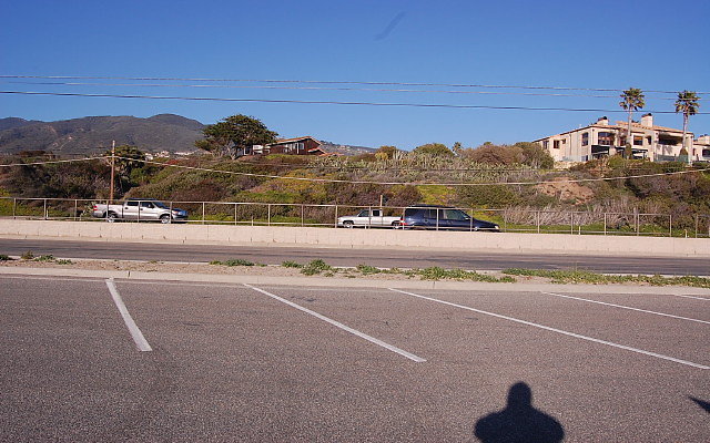 DSC 0560