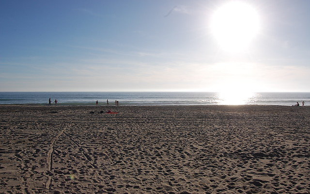 DSC 0566