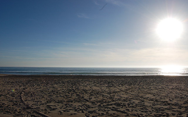 DSC 0598
