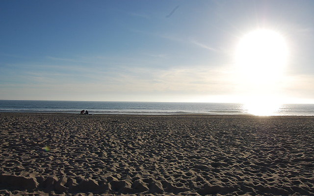 DSC 0620