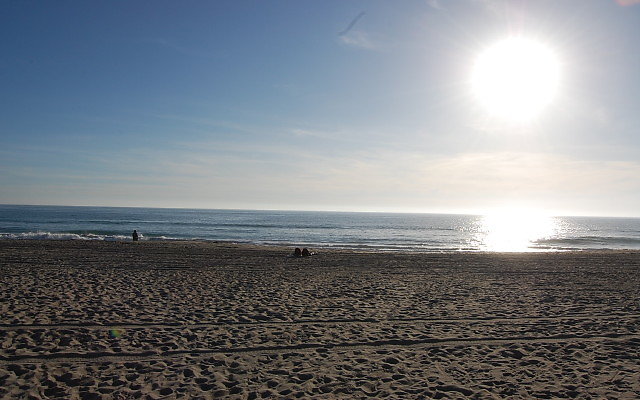 DSC 0577