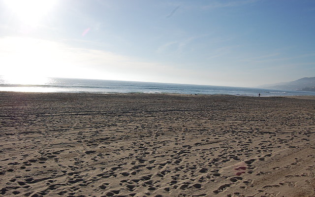 DSC 0554