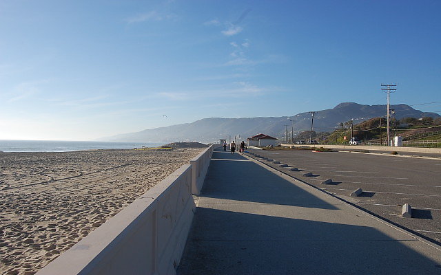DSC 0600